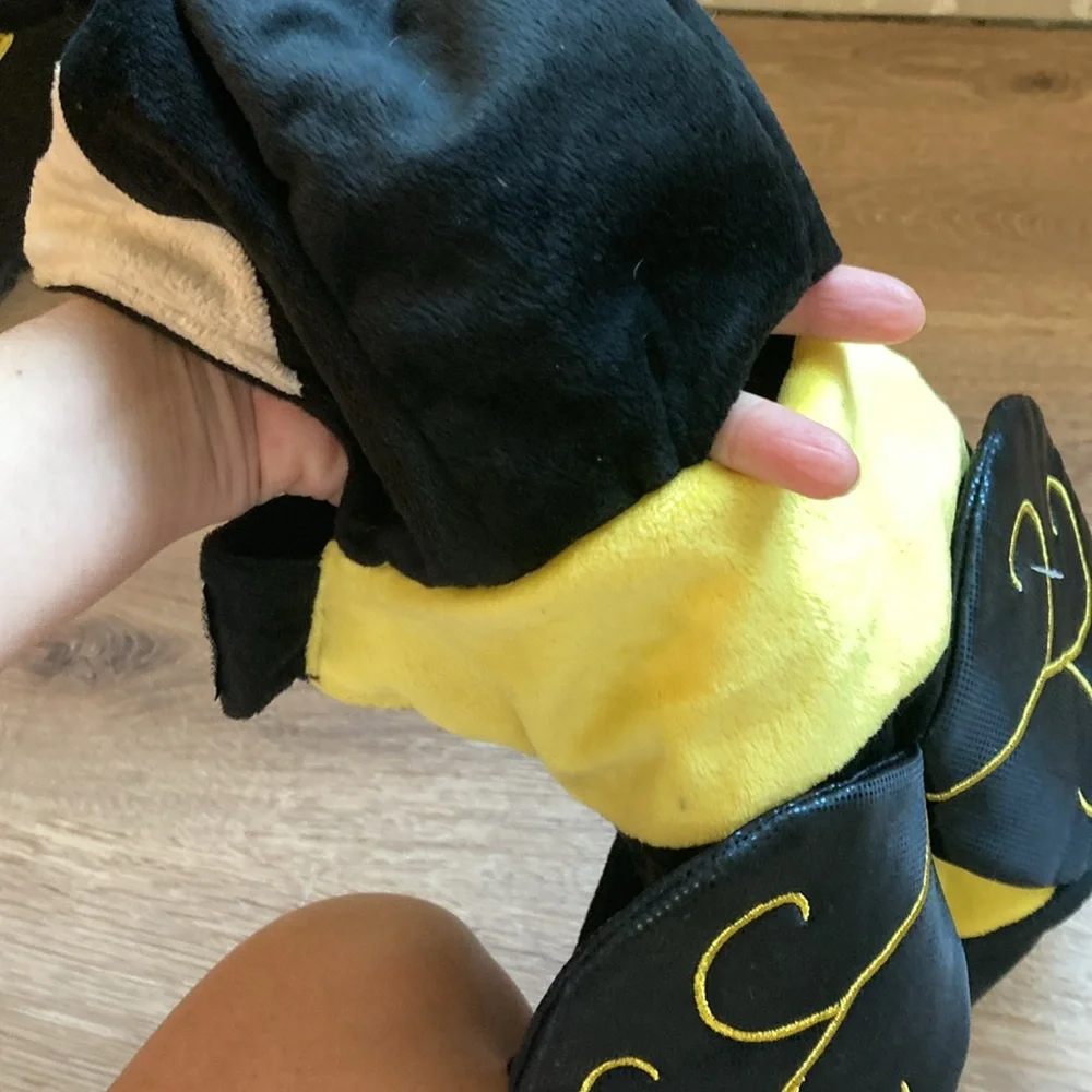 Small dog Halloween bumblebee costume, new